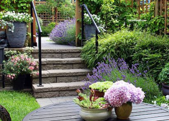 Greening Your Space: Innovative Home and Garden Ideas