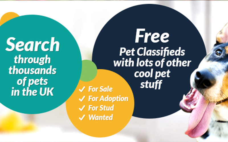 Find Your Perfect Pet: Free Pet Ads