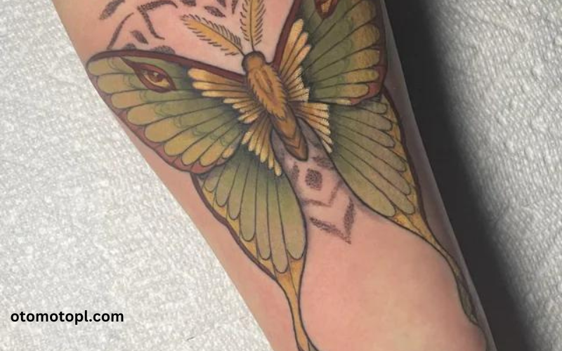 Unraveling the Mystique: Luna Moth Tattoo Meaning Explored