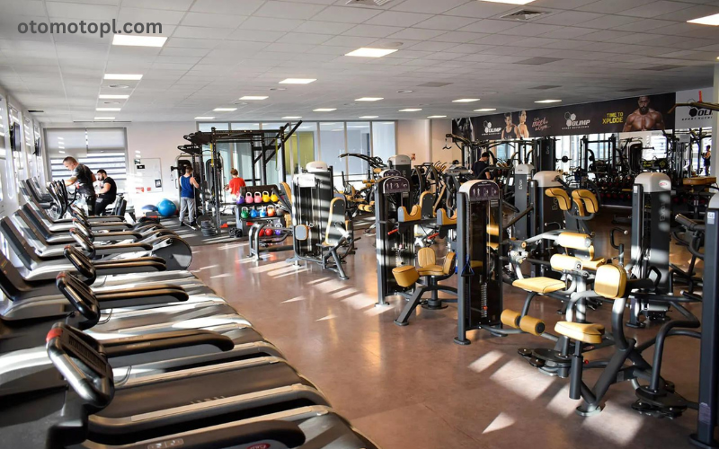 The Ultimate World Gym San Diego Reviews: Your Comprehensive Guide to Fitness Excellence