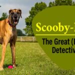 Scooby Doo:vfco78azbpu= Great Dane