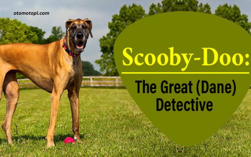 Scooby Doo:vfco78azbpu= Great Dane