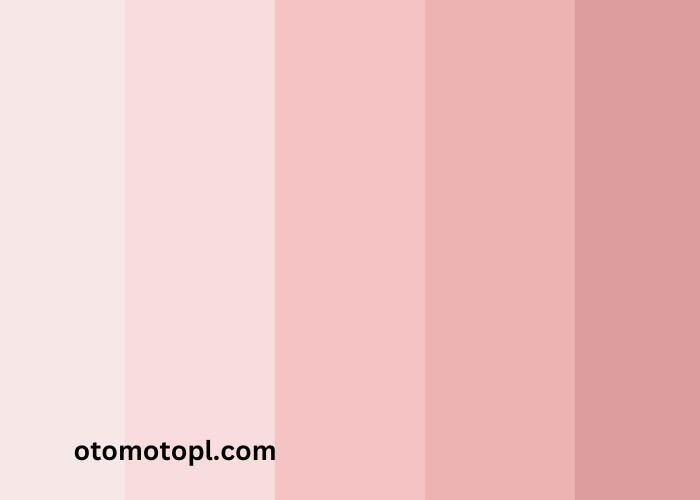 color:4nwlsgoqwke= Light Pink